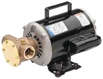 Jabsco 6050-0003 Utility Pump